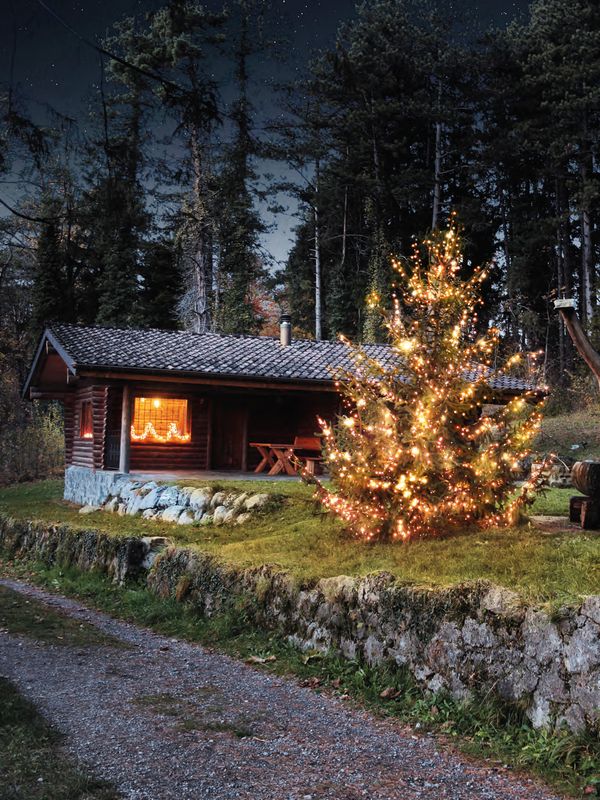 BGVintern Winter 2022