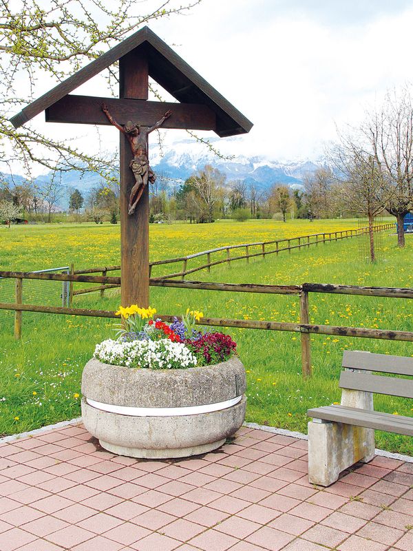 BGVintern Frühling 2024