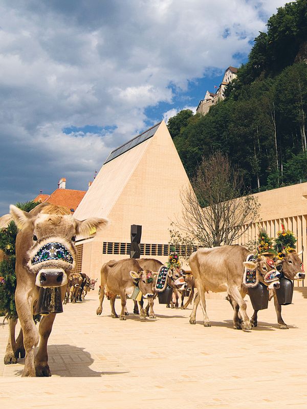 BGVintern Herbst 2023